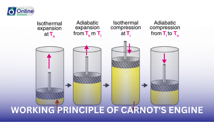Lesson 16: Exploring the Working Principle of Carnot's Engine